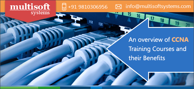 blog-image